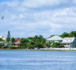 FLORES – BELIZE CITY desde USD40